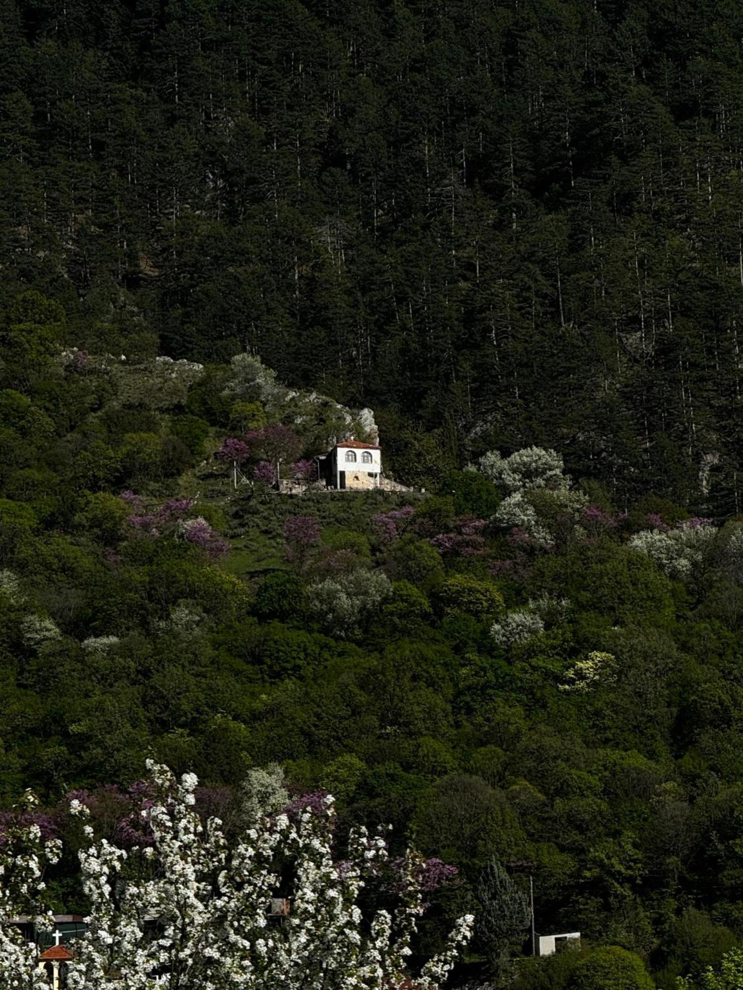 Mountain Serenity Konitsa Eksteriør bilde